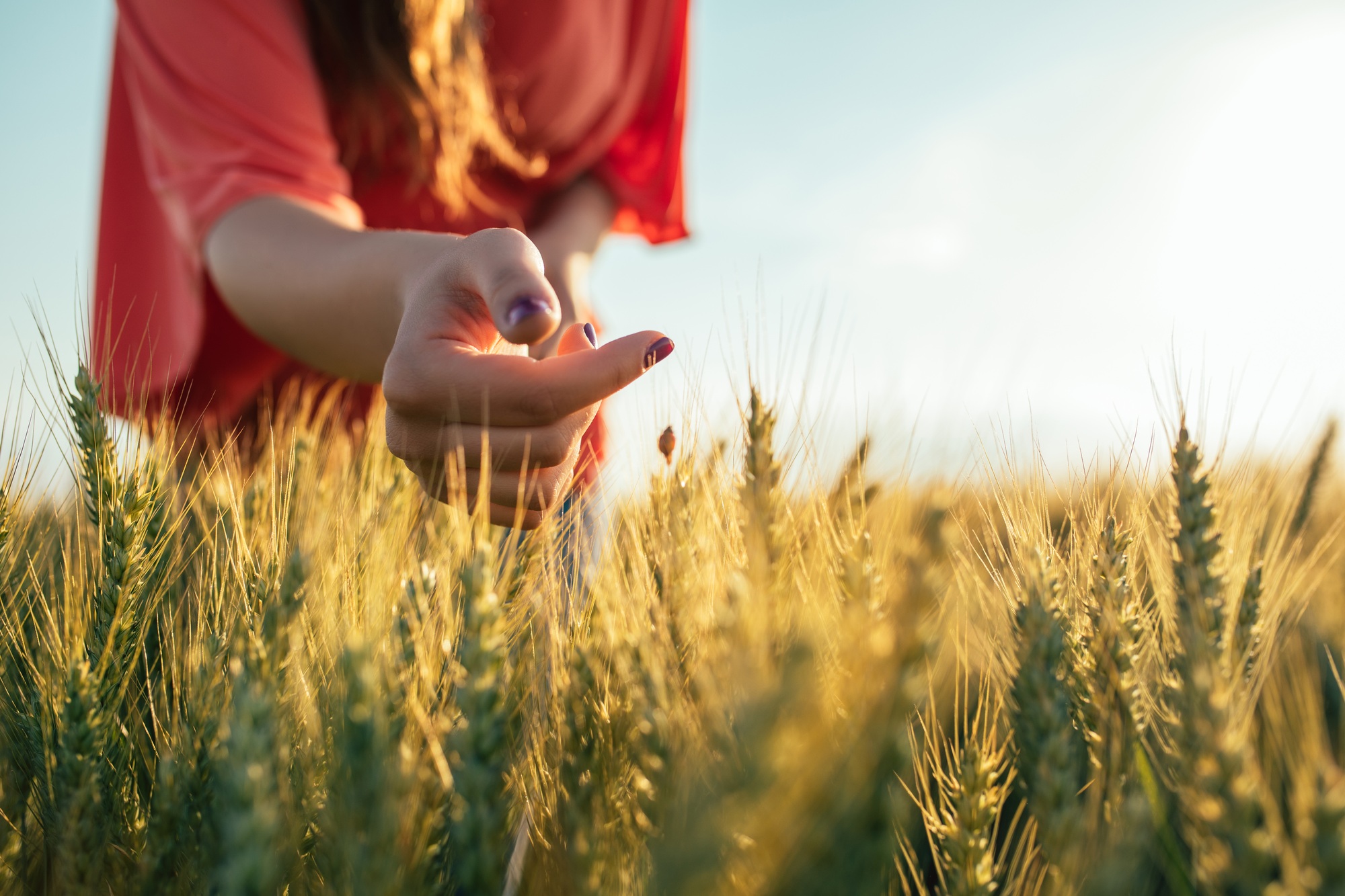 Nature is the best healer